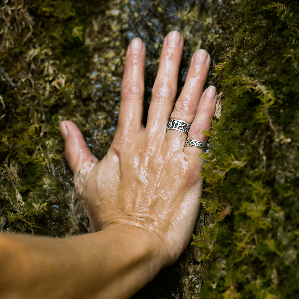 huber_carmen_hand_auf_baum huber_carmen_hand_auf_baum